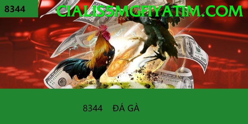 Đá Gà Trực Tiếp - 999bet